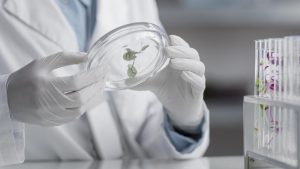 researchers-laboratory-holding-petri-dish